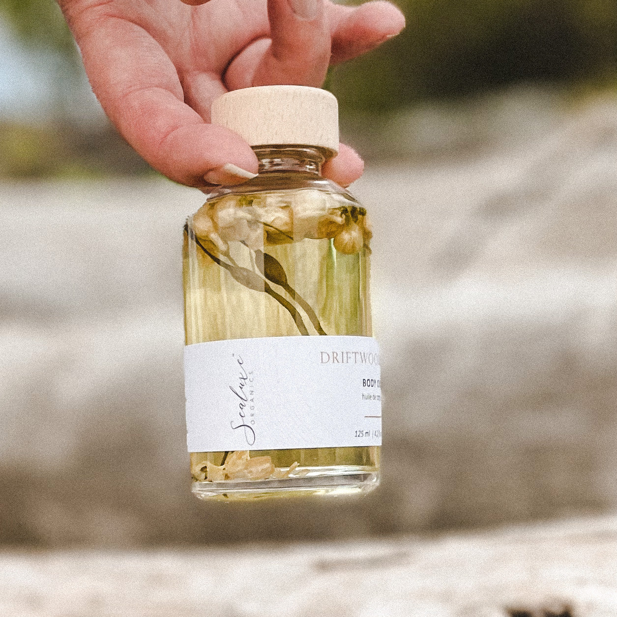 Driftwood Bath and Body Oil (Sea Kelp Infused)