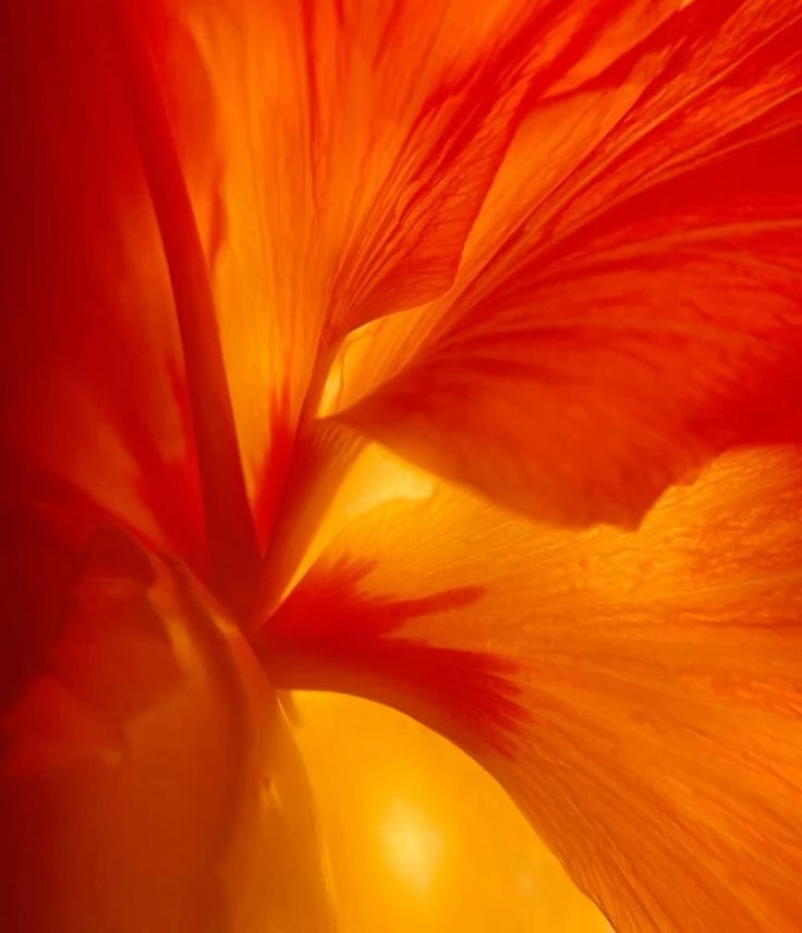Element | Botanical Car Freshener Spring Equinox