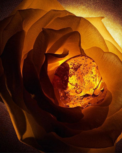 Element | Botanical Car Freshener Spring Equinox