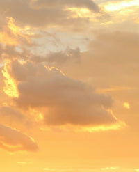 Sky (Sweet Orange, Lime, Eucalyptus, Lemongrass)