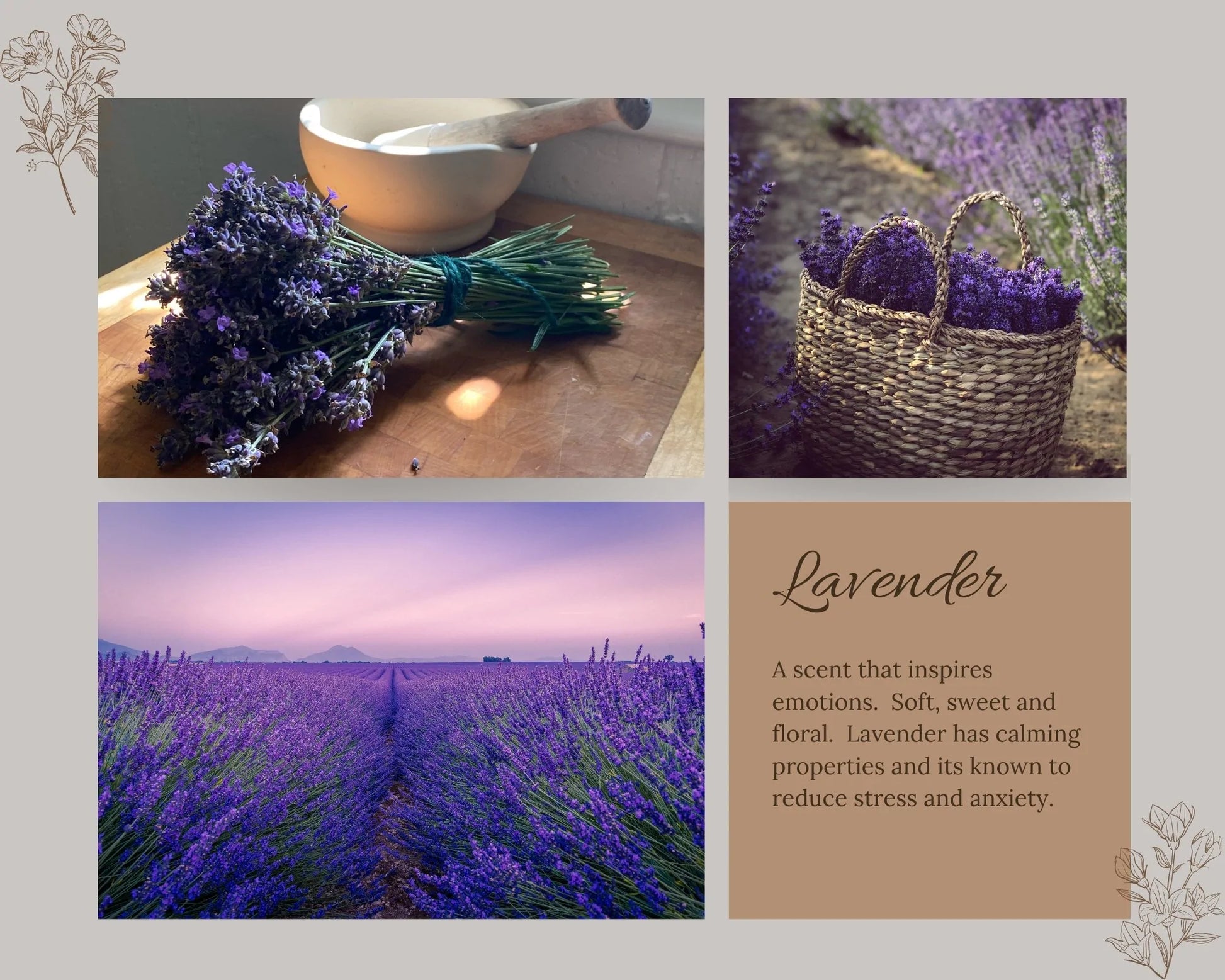 natural car freshener, lavender