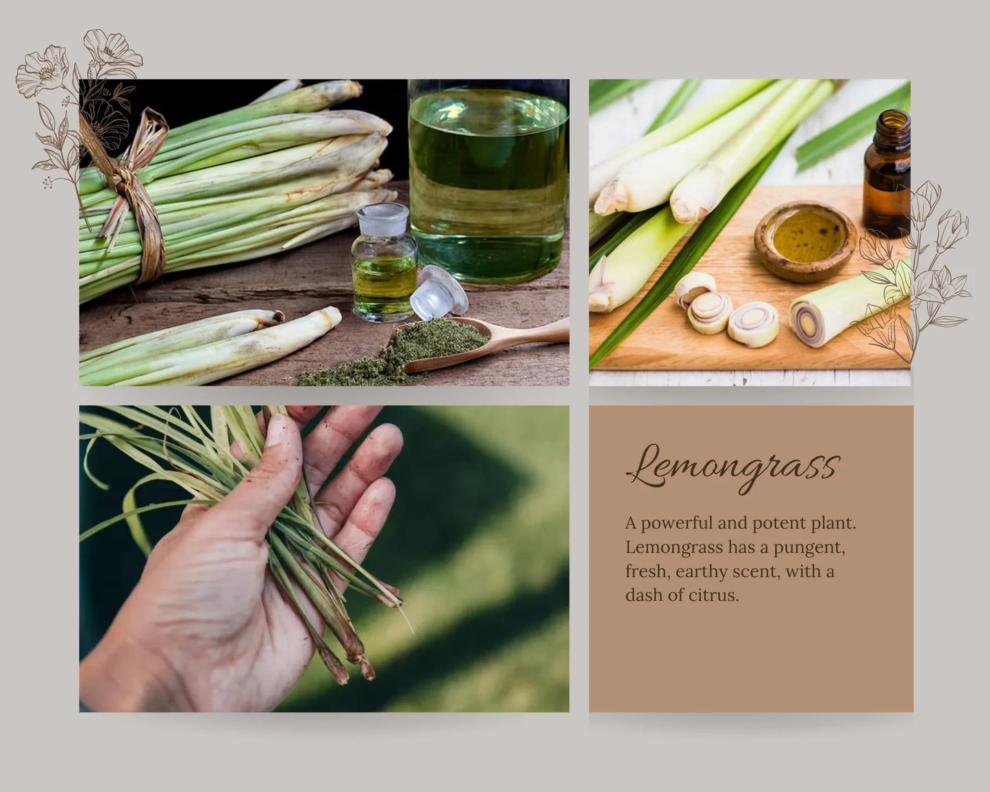 natural car freshener, lemongrass